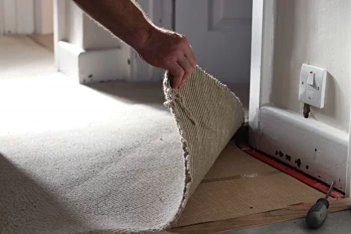 Carpeting Installation Before